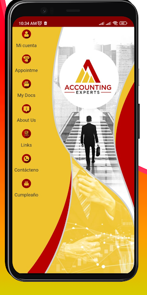 Accounting Experts Screenshot 0