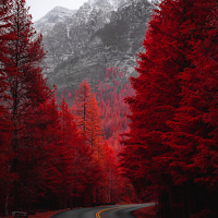 Landscape Wallpapers UHD