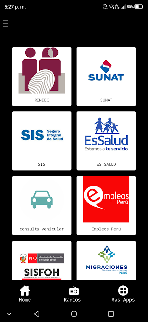 Consulta Pe Screenshot 1