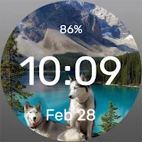 Huskies Sunbathing Watch Face