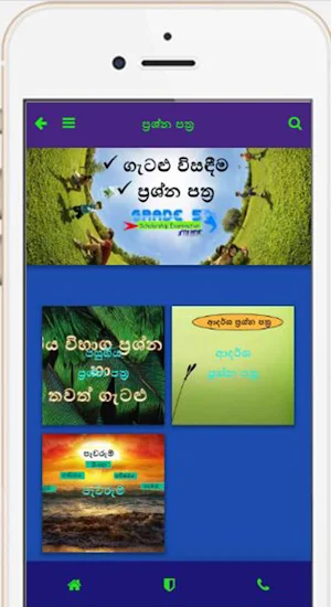 Grade 5 Scholarship Guide Screenshot 3