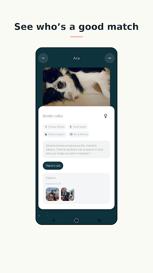 Petifit Screenshot 1