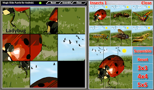 Magic Slide Puzzle Insects 1 Screenshot 0