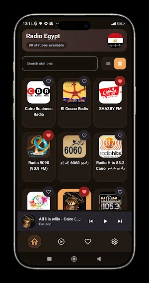 Radio Egypt - راديو مصر Screenshot 1