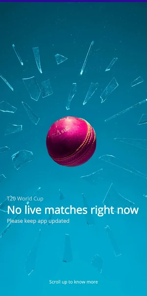Cric InOuts Screenshot 0