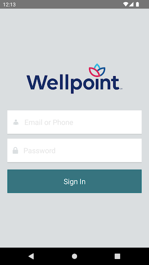 Wellpoint DPP Screenshot 0