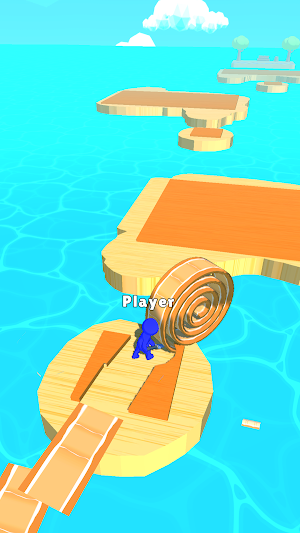 Wood Spiral Island Screenshot 2