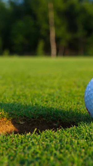 Golfing Wallpaper Screenshot 1