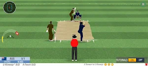 World Real Cricket Champions Screenshot 3
