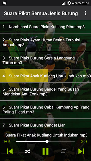 Suara Burung: Pikat & Masteran Screenshot 2