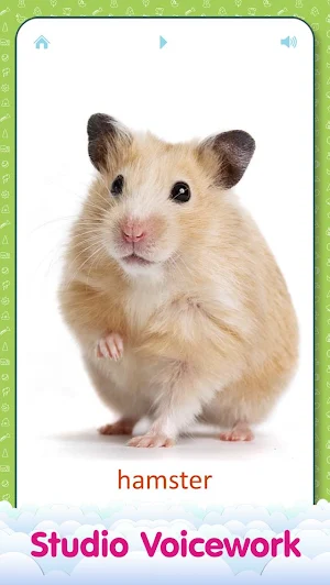 Animal sounds and flashcards for Kids Screenshot 2