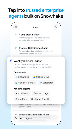 Snowflake CoWork Screenshot 2