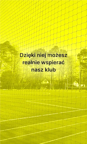 Akademia Młodego Sportowca Screenshot 1
