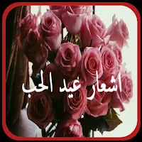 كلام شعر عن الحب 2024