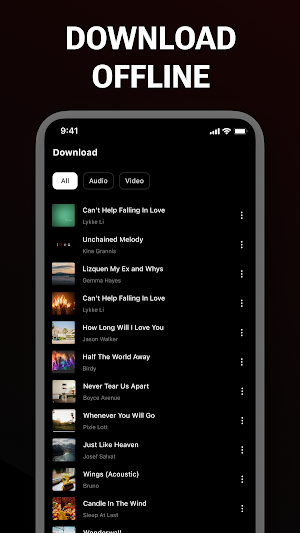 Offline Music, Video Player Screenshot 1