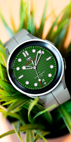 Analog CRAFT WD166 Watch face Screenshot 3