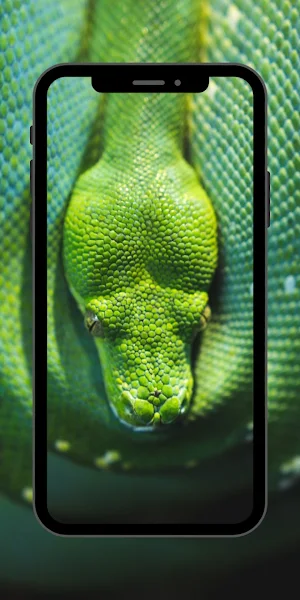 Snake Cool Wallpaper Screenshot 1