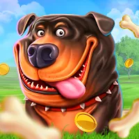 Dogs Play