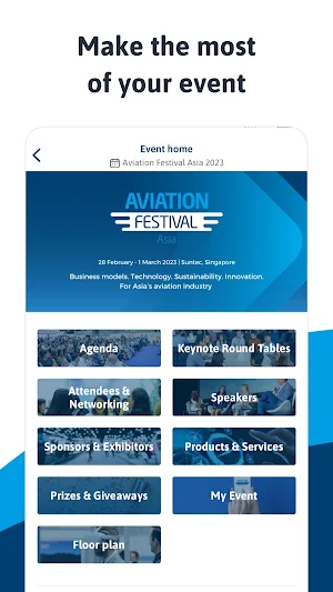 Aviation Festival Screenshot 0