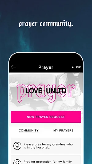 LOVE+UNLTD Screenshot 1