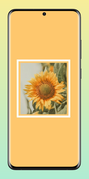 Sunflower Aesthetic Wallpaper Screenshot 1