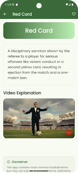 Football Terms Dictionary Screenshot 2