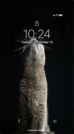 MIAW UHD Wallpaper Screenshot 1