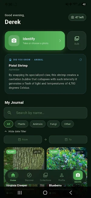 Spotter - Nature Identifier Screenshot 0