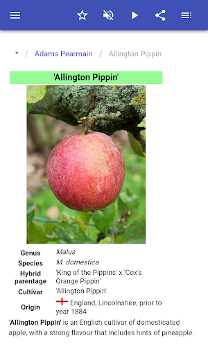 Varieties of apples Screenshot 2