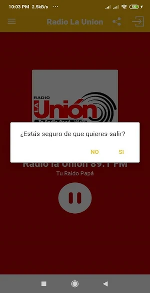 Radio la Unión 89.1 FM Screenshot 1