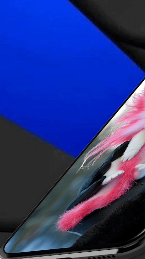 Axolotl Wallpaper Real Screenshot 0