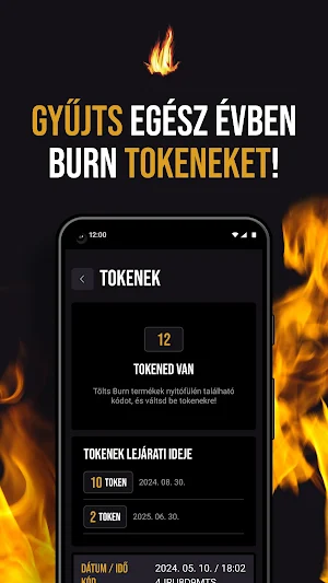BurnBank Screenshot 2