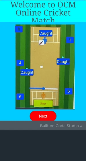 OCM - Online Cricket Match Screenshot 1