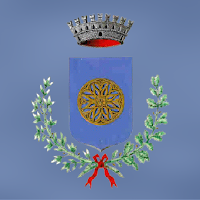 MySaltrio