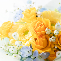 Yellow Rose Bouquet Theme