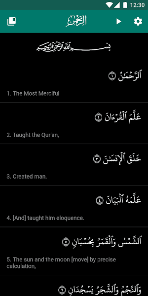 Surah Ar-Rahman with Translation & Audio Screenshot 3