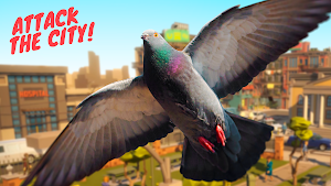 Pigeon Screenshot 2