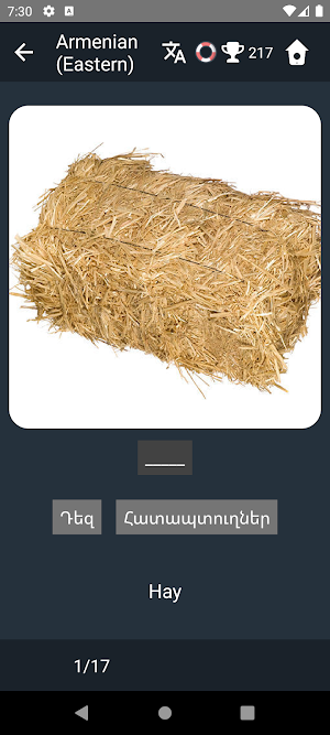 Armenian Language Tests Screenshot 3