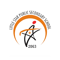 Little Star Public School