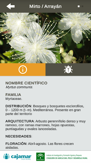 PlantEN (Plantas y Enemigos) Screenshot 3