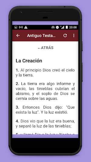 Biblia Católica / Santa Biblia Screenshot 3