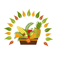 The Vegetable Basket