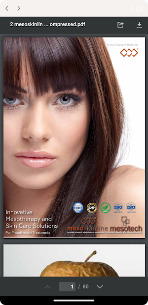 Mesoskinline EN Screenshot 1
