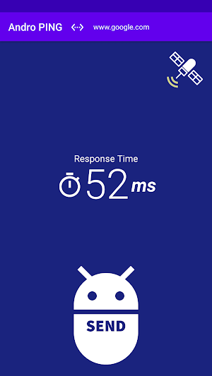 Andro PING Screenshot 0
