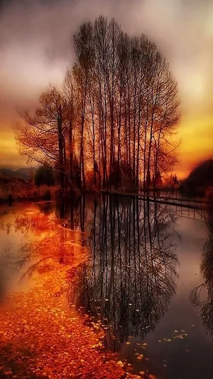Wallpapers for Nokia Screenshot 2
