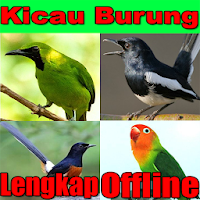 Bird Chirping Offline