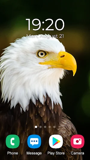Eagle Wallpaper 2023 Screenshot 1