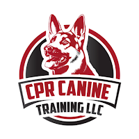 CPR Canine Training