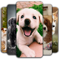 Puppy Wallpaper