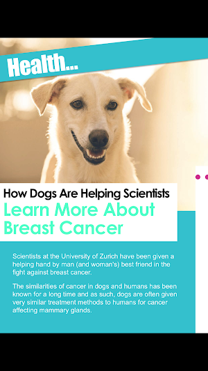 K9 Magazine Screenshot 3